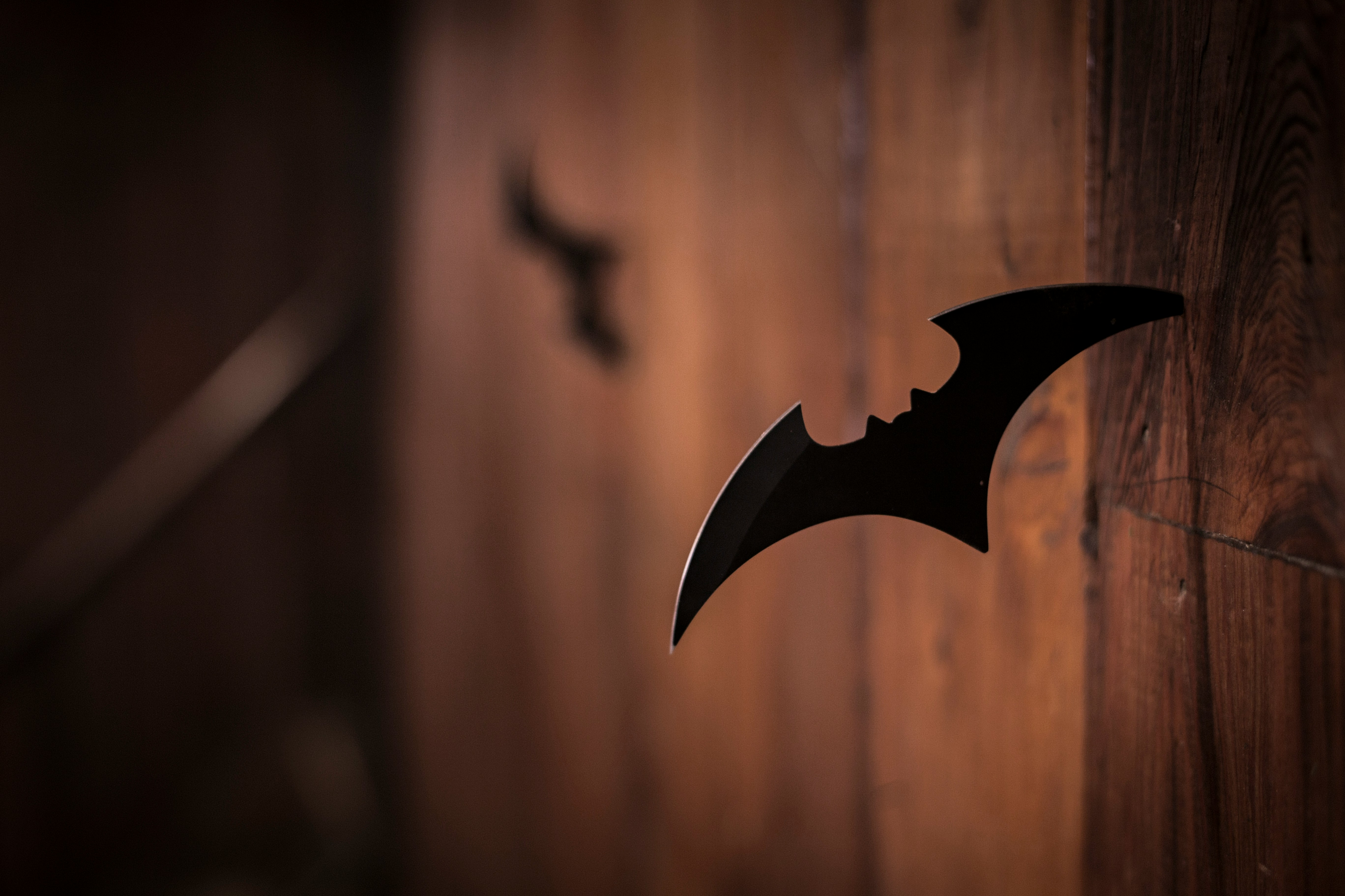 darknight6