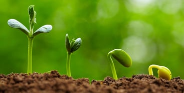 grow.jpg grow.jpg