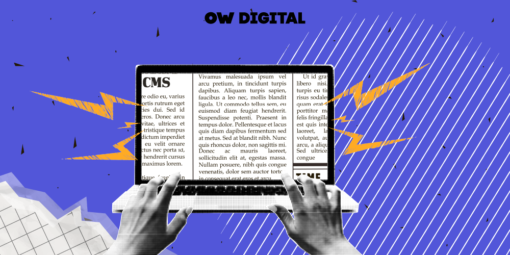 The Rise of Headless CMS and Why It’s the Future of Web Development